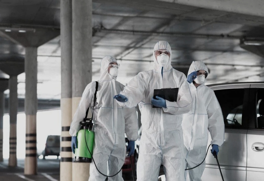 Commercial Pest Extermination Calgary