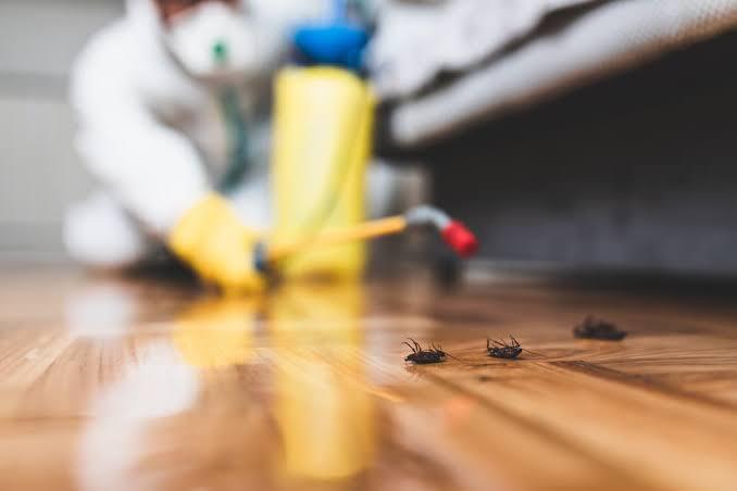 Calgary Pest Extermination
